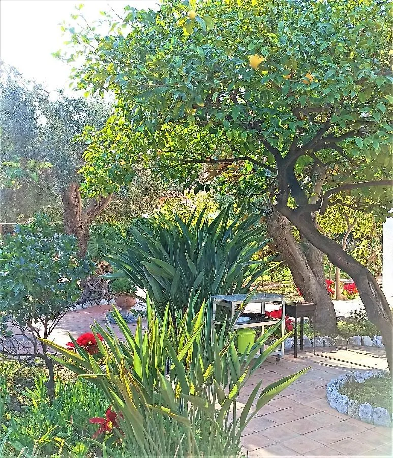 Seafront Apartments Garden House Taormina