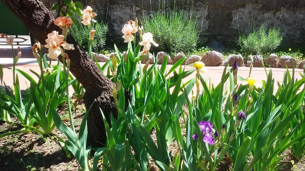 Seafront Apartments Garden House Taormina